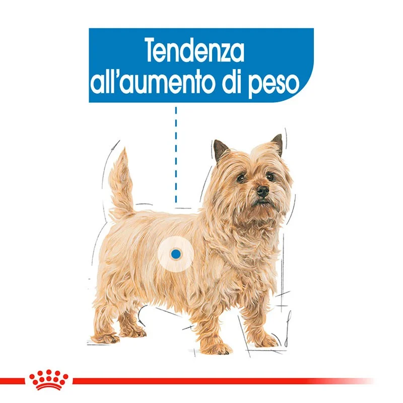 ROYAL CANIN CANE MINI LIGHT WEIGHT CARE KG 1 - immagine 4