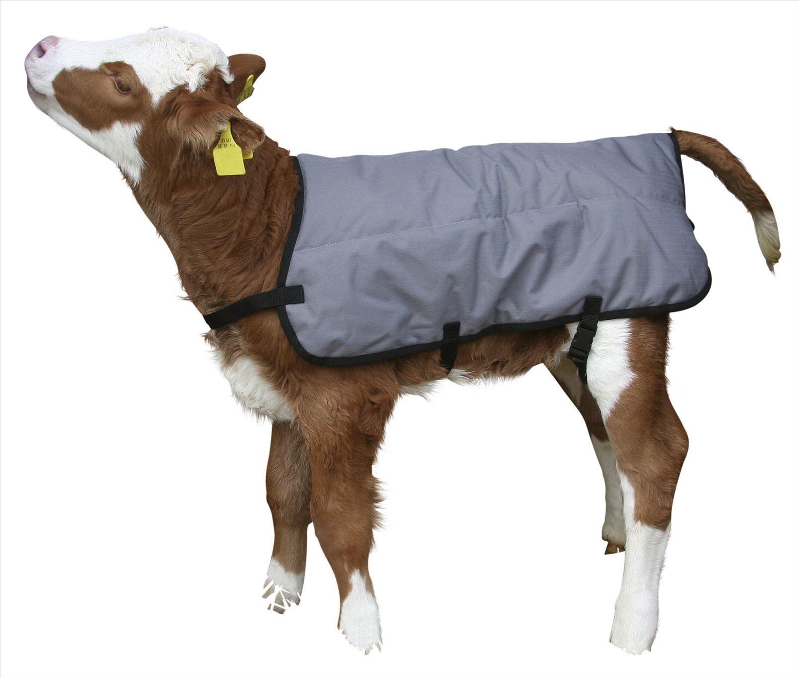 Coperta per vitelli Ripstopp - immagine 4