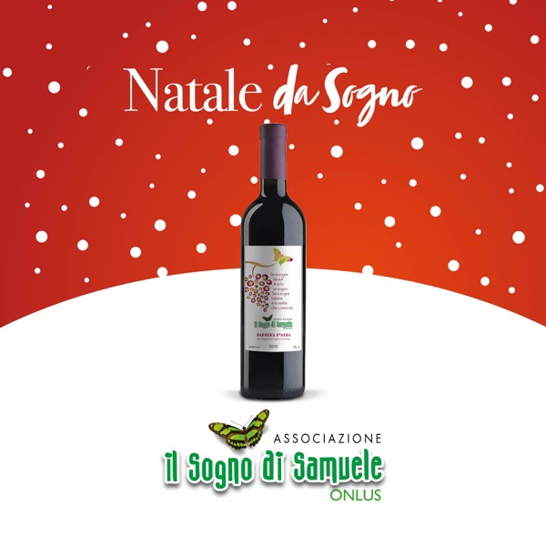 Barbera d’Alba 2019 ‘Batasiolo’ - immagine 2